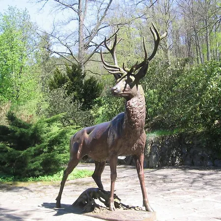 Kranio Karlovy Vary